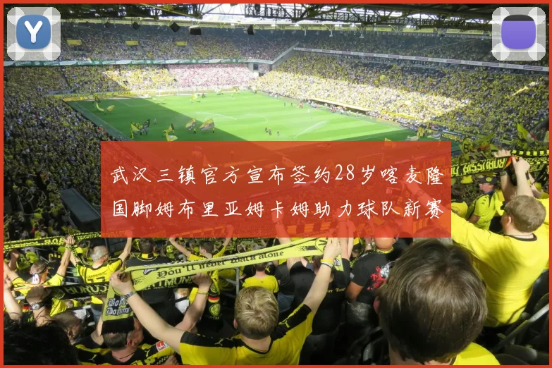 武汉三镇官方宣布签约28岁喀麦隆国脚姆布里亚姆卡姆助力球队新赛季