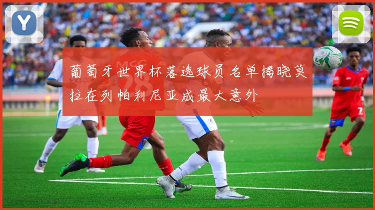 葡萄牙世界杯落选球员名单揭晓莫拉在列帕利尼亚成最大意外