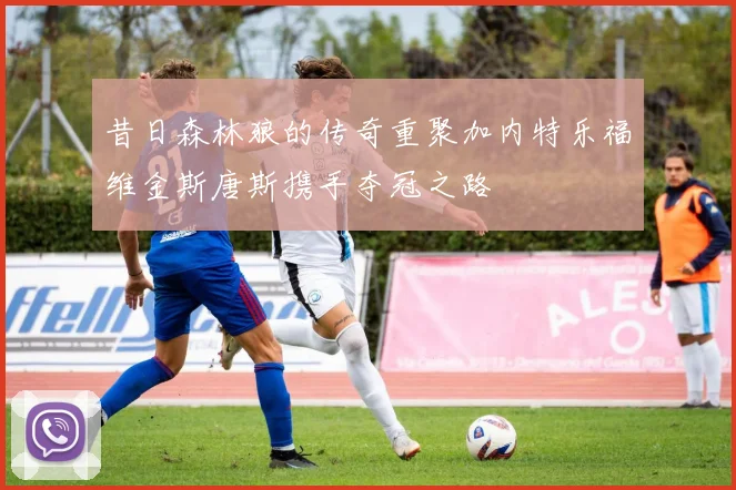 昔日森林狼的传奇重聚加内特乐福维金斯唐斯携手夺冠之路