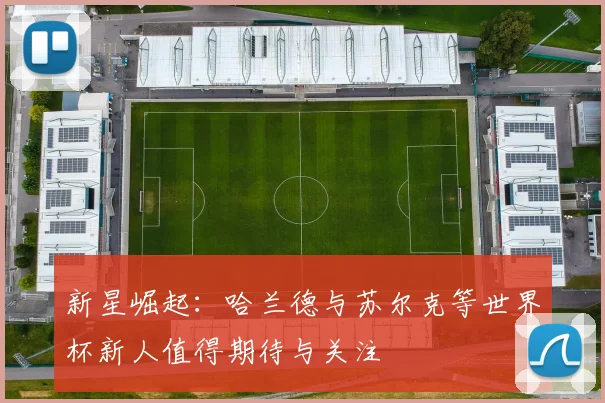 新星崛起：哈兰德与苏尔克等世界杯新人值得期待与关注